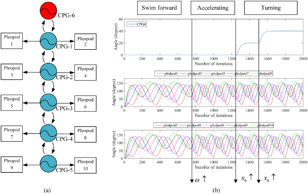 顶刊发表！浙江理工仿螳螂虾机器人最大游速0.28 m/s，最小转弯半径0.36 m(图5)